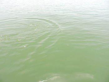 High angle view of rippled water in lake