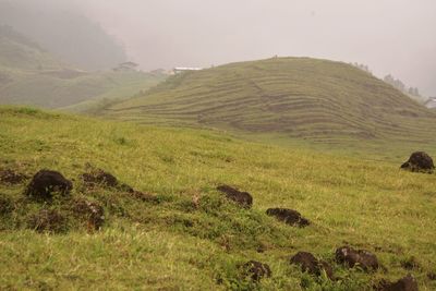 Scenic view of warm landscape