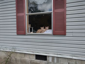 Reflection of people on glass window of building