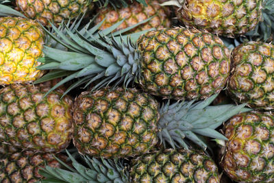 High angle view of pineapples