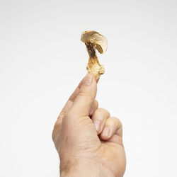 Close-up of hand against white background