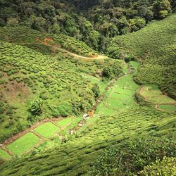 Aerial view of landscape