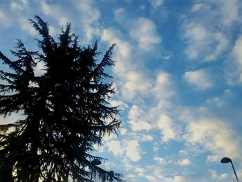 Low angle view of tree against sky