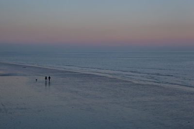 Distant view of people and dog at beach against sky during sunset