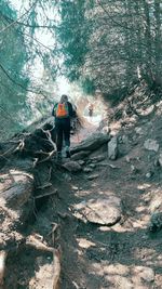 Rear view of man standing on rock in forest