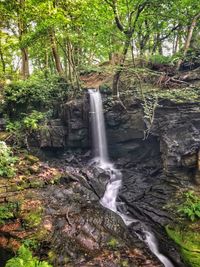 Waterfall in forest