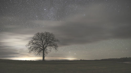 Silhouette tree against sky at night