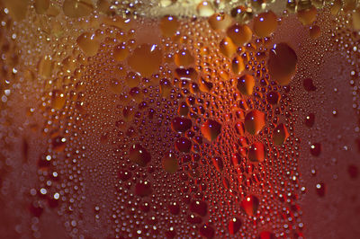 Close-up of cold drink