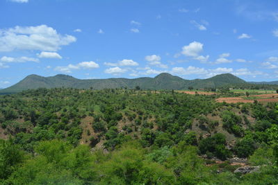 Scenic view of landscape against sky