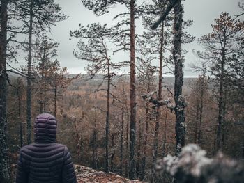 Rear view of person amidst trees in forest during winter