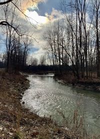 Bare trees by river against sky