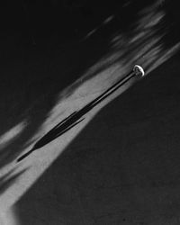High angle view of woman with shadow standing on road