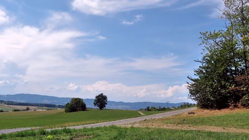 Scenic view of field against sky