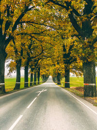 Road amidst trees during autumn