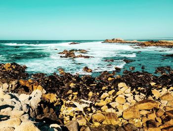 Scenic view of sea against clear sky