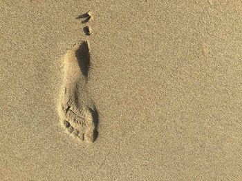 View of sandy beach