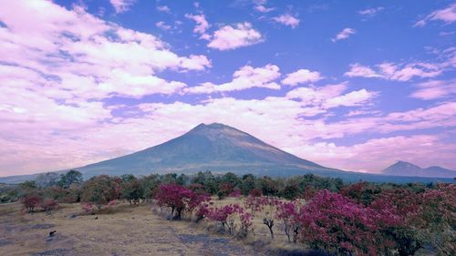 Scenic view of landscape against cloudy sky