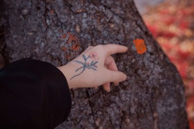 Low section of woman standing by tree trunk