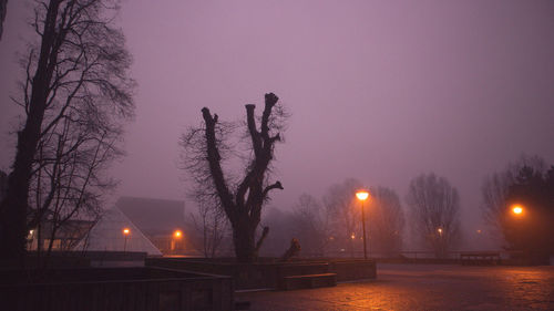 Illuminated street light against clear sky at night