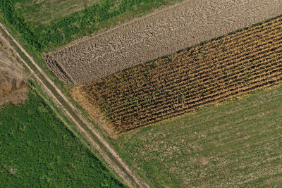soil