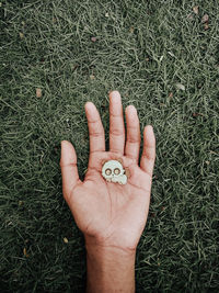 Cropped image of hand holding plant on field