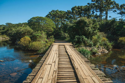 Wooden bridge and forest at the aparados da serra national park near cambara do sul. brazil.