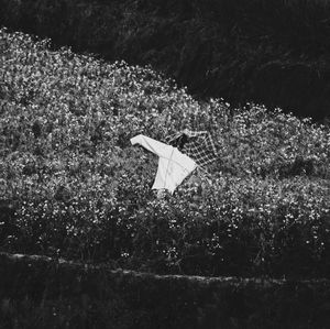 Plants growing outdoors