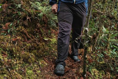 Low section of man standing in forest