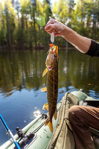 Cropped hand holding fish