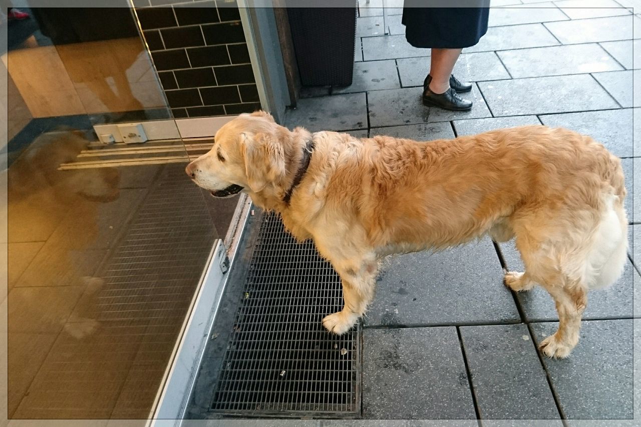 Bäckerei Braun