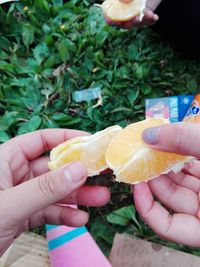 Close-up of hand holding apple