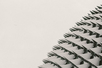 Close-up of leaf against white background