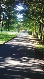 Road passing through trees