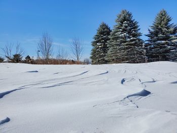 Snow covered field by trees against sky