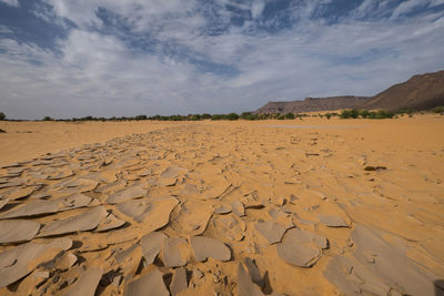 Low angle view at arid desert landscape with interesting pattern