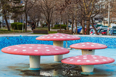 Close-up of mushroom growing in park