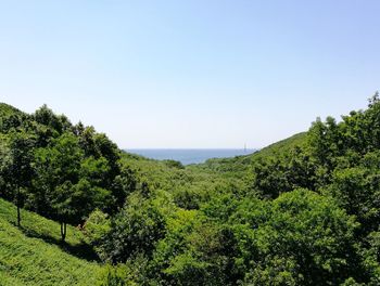 Scenic view of sea against clear sky