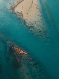 High angle view of fish swimming in sea