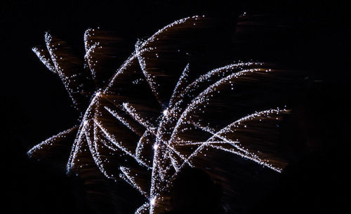 Low angle view of firework display at night