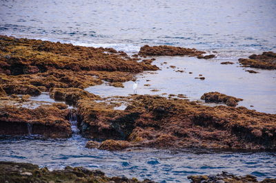 Scenic view of rocks in sea