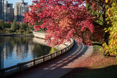 View of river amidst trees in park