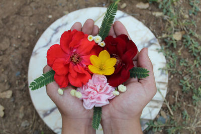 High angle view of person holding flowering plant