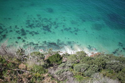 High angle view of beach