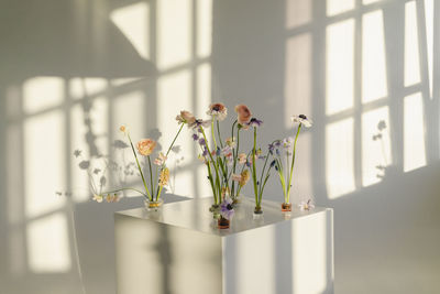 Multi colored flowers on white table