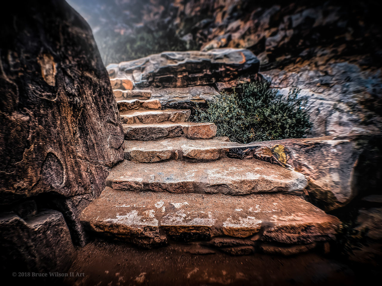 no people, rock, tree, nature, textured, solid, rock - object, close-up, rough, day, selective focus, outdoors, plant, wall, focus on foreground, wood - material, pattern, rock formation, brown, forest, stone wall, bark