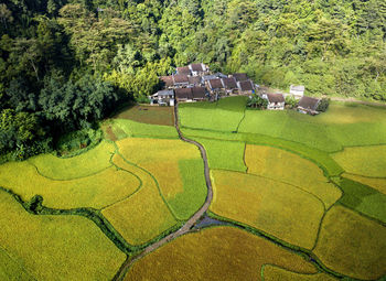 High angle view of green landscape