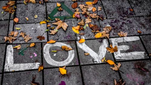 Close-up of autumn leaves