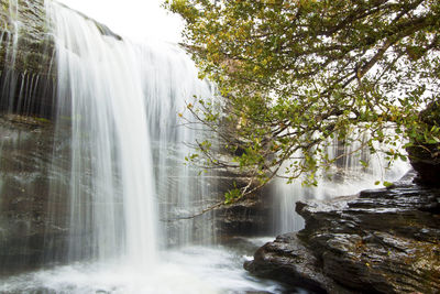 Scenic view of waterfall