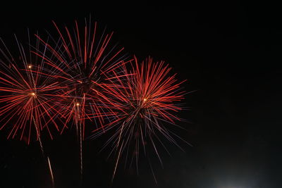 Low angle view of firework display against sky at night