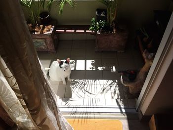 Rear view of a man with woman